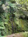 Madeira0819.JPG